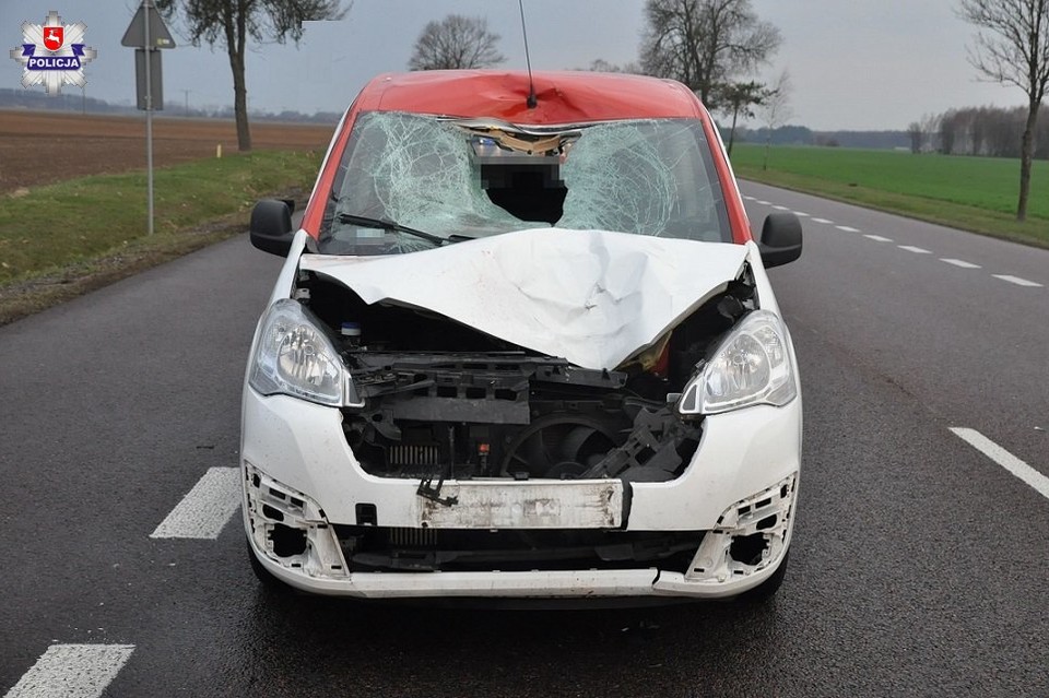 Tragiczny wypadek w Rogoźniczce - Zdjęcie główne