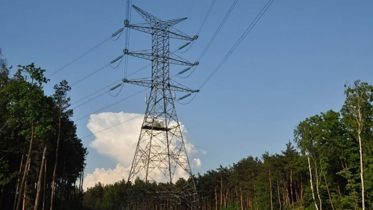 Przerwy w dostawach prądu w powiecie bialskim - Zdjęcie główne