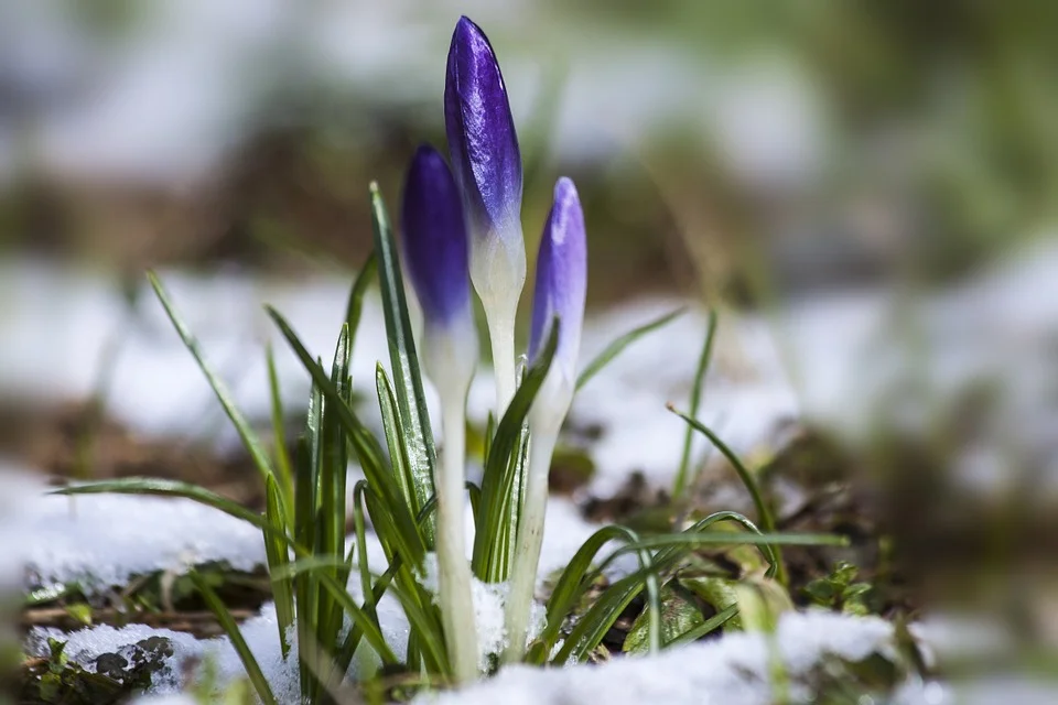  Biała Podlaska: Jaki będzie weekend? Zobacz prognozę pogody na 12 -13 marca - Zdjęcie główne