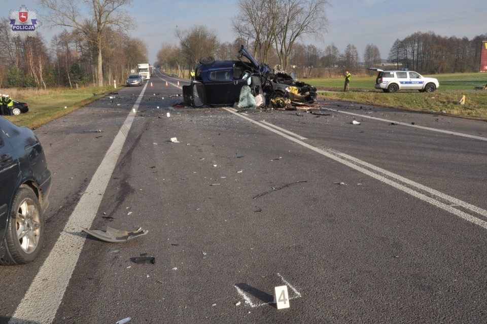 Kto widział wypadek w Kolonii Rogoźnica? - Zdjęcie główne