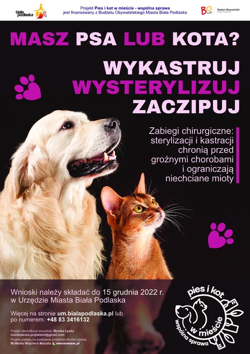 Biała Podlaska : Obywatelski projekt. Chcą ograniczyć bezdomność zwierząt w mieście - Zdjęcie główne