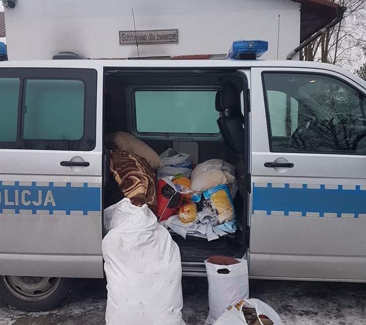 Policjanci zbierali dary dla bezdomnych zwierząt - Zdjęcie główne