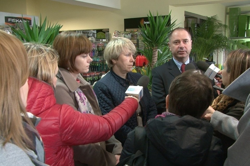 Zieleń na cmentarzu - Zdjęcie główne