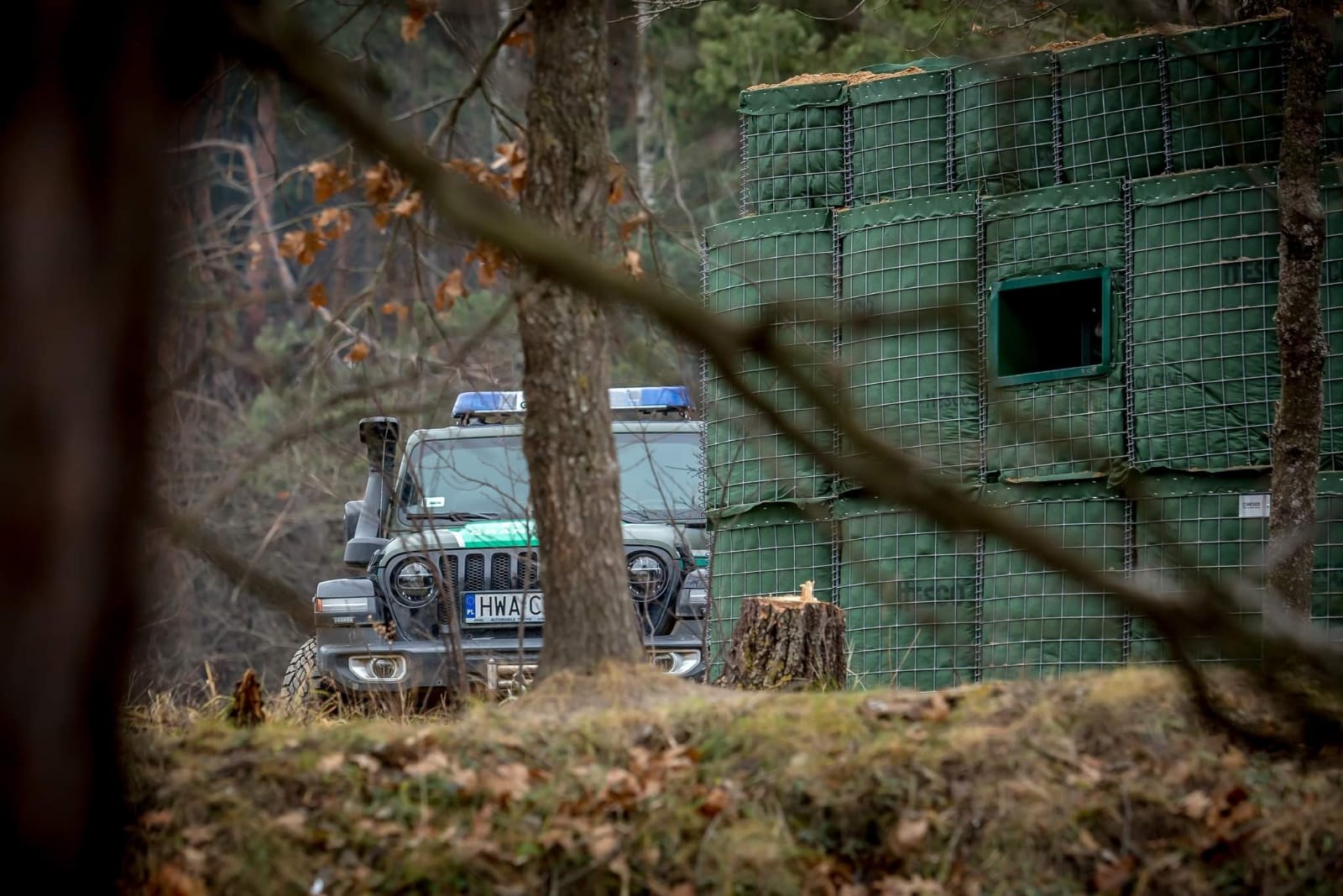 Sytuacja na granicy z Białorusią [RAPORT, najnowsze wiadomości] 16.11 - Zdjęcie główne