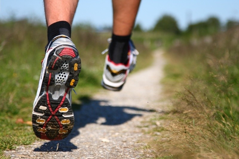 VI Cross Maraton Jana Kulbaczyńskiego po ziemi piszczackiej i kodeńskiej - Zdjęcie główne