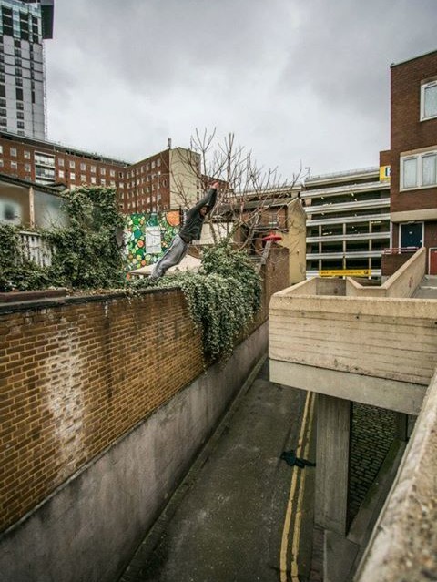 Warszaty Parkour - AWF Biała Podlaska - Zdjęcie główne