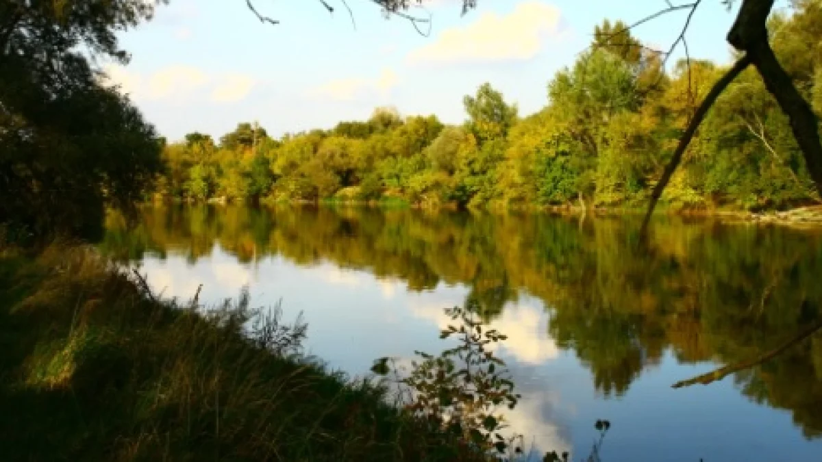 Wolna amerykanka nad Bugiem cz. II - Zdjęcie główne