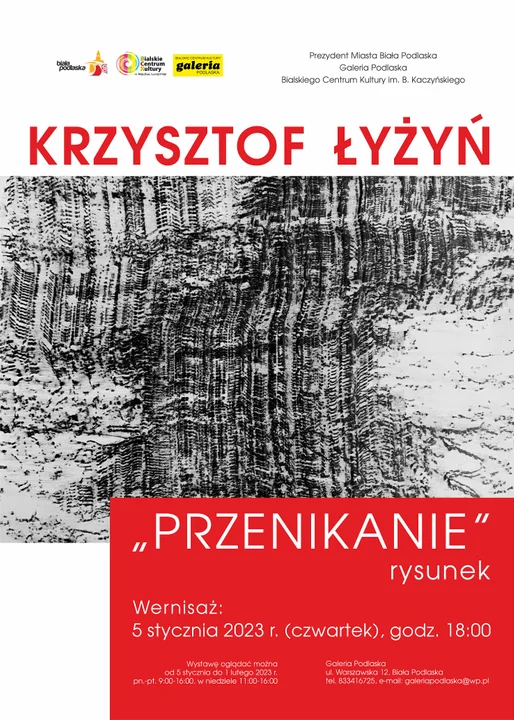 Biała Podlaska: Przyjdź na niezwykłą wystawę "Przenikanie" - Zdjęcie główne