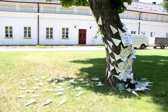 Biała Podlaska: Rusza przyjmowanie zgłoszeń na Park Sztuki - Zdjęcie główne