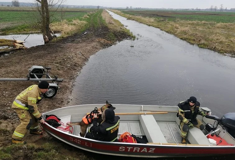 Powiat bialski: Znaleziono ciało w rzece. Policja ustala czy to zaginiony mężczyzna - Zdjęcie główne