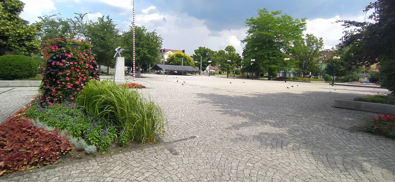 Upał w Białej Podlaskiej. Za gorąco na spacery po mieście (ZDJĘCIA) - Zdjęcie główne