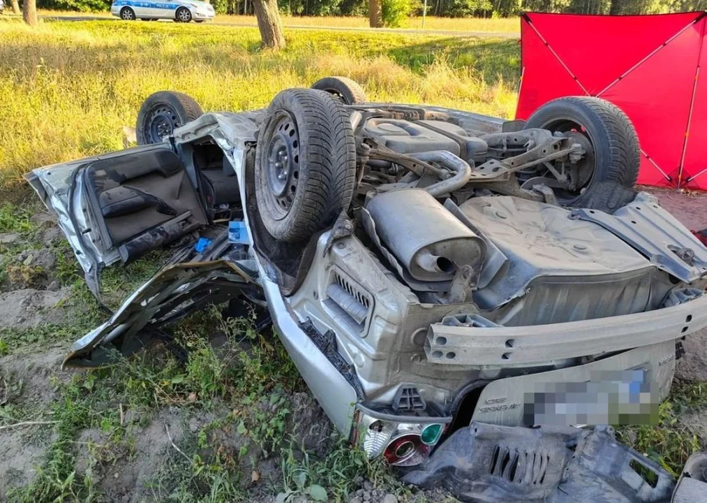 Powiat bialski. Śmiertelny wypadek na DW813. Auto uderzyło w drzewo - Zdjęcie główne