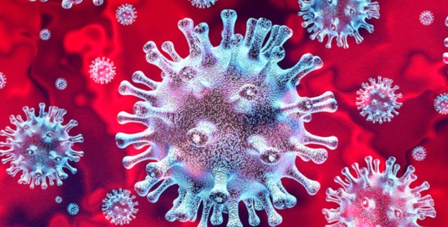 Koronawirus: Nie żyje 6 zakażonych z powiatu bialskiego, 1 z Białej Podlaskiej  - Zdjęcie główne