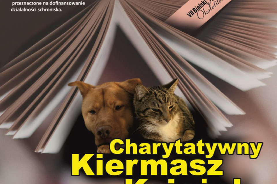 Charytatywny Kiermasz Książki - Zdjęcie główne