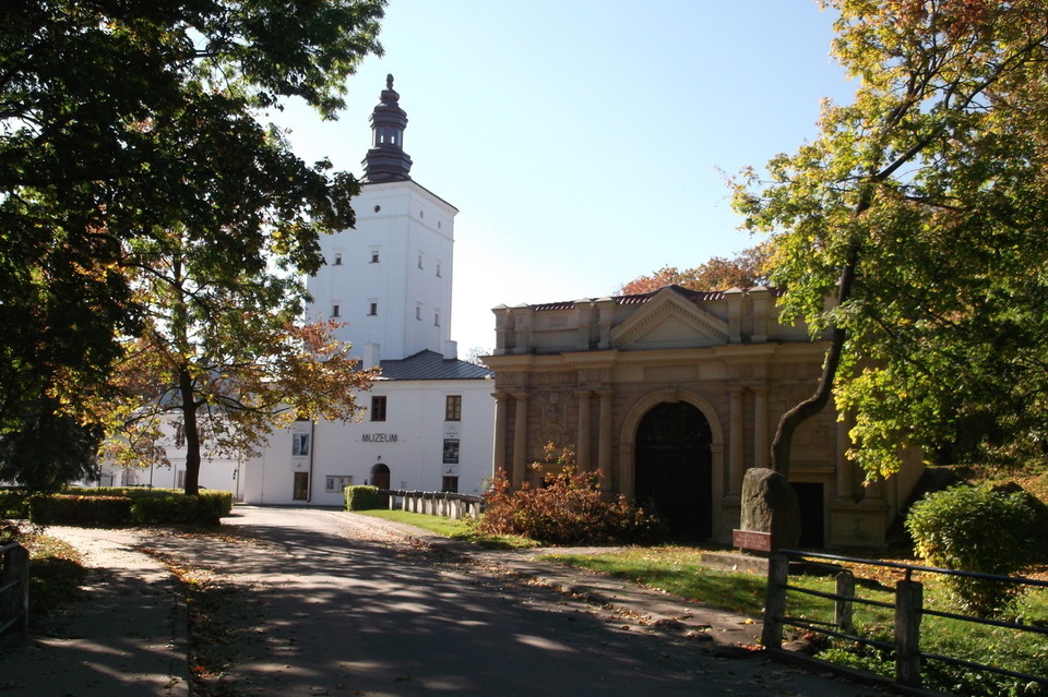 Zagłosuj na Białą Podlaską w turnieju miast - Zdjęcie główne