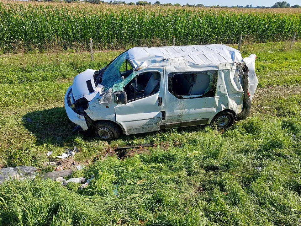 Powiat bialski: Dwóch kierowców zderzyło się z sarnami. Jedna osoba w szpitalu - Zdjęcie główne