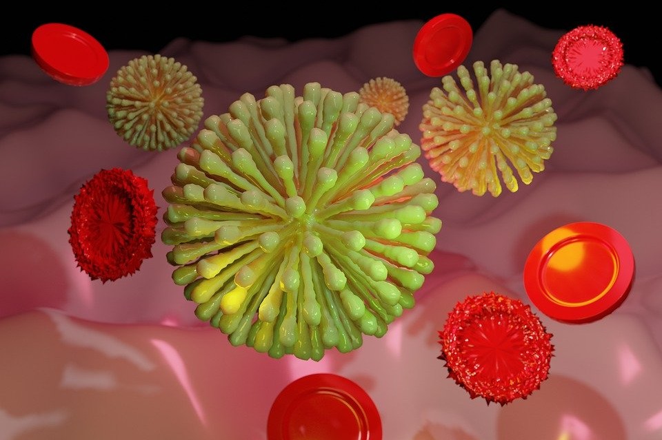 Trzy nowe zakażenia koronawirusem w powiecie bialskim [3.07.2020] - Zdjęcie główne