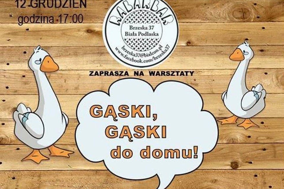 Gąski, gąski do domu czyli warsztaty kultury ludowej - Zdjęcie główne