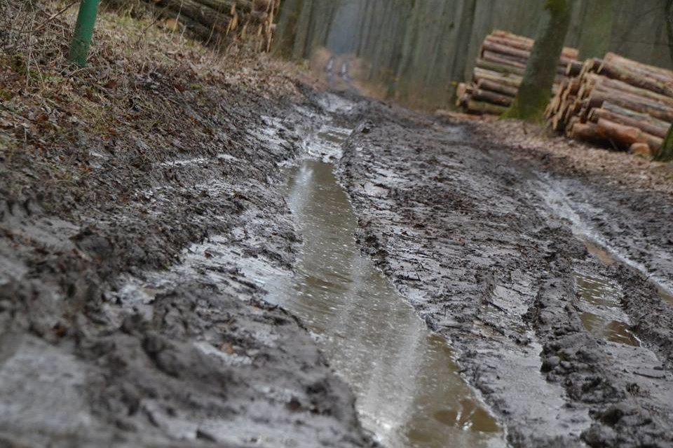 Grupa bialskopodlaskich triathlonistów amatorów z pucharami - Zdjęcie główne