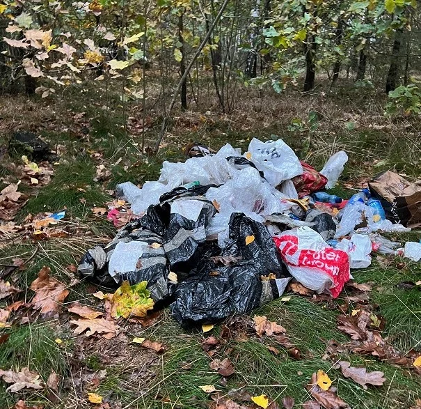 Powiat bialski: Wyrzucił śmieci w lesie. Nie potrafił tego wyjaśnić - Zdjęcie główne