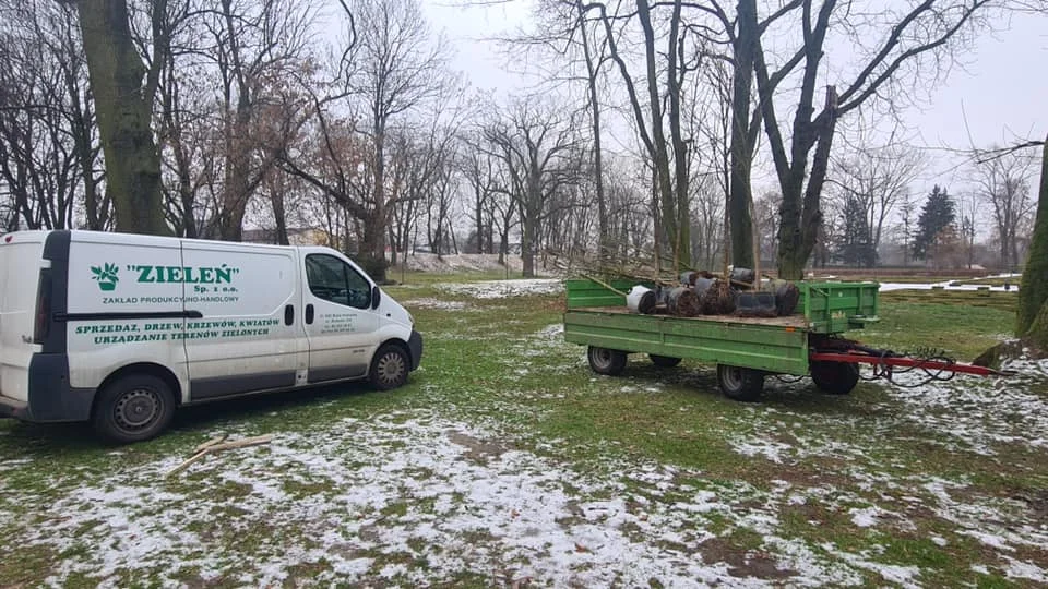 Biała Podlaska : Posadzono ponad setkę nowych drzew (ZDJĘCIA) - Zdjęcie główne