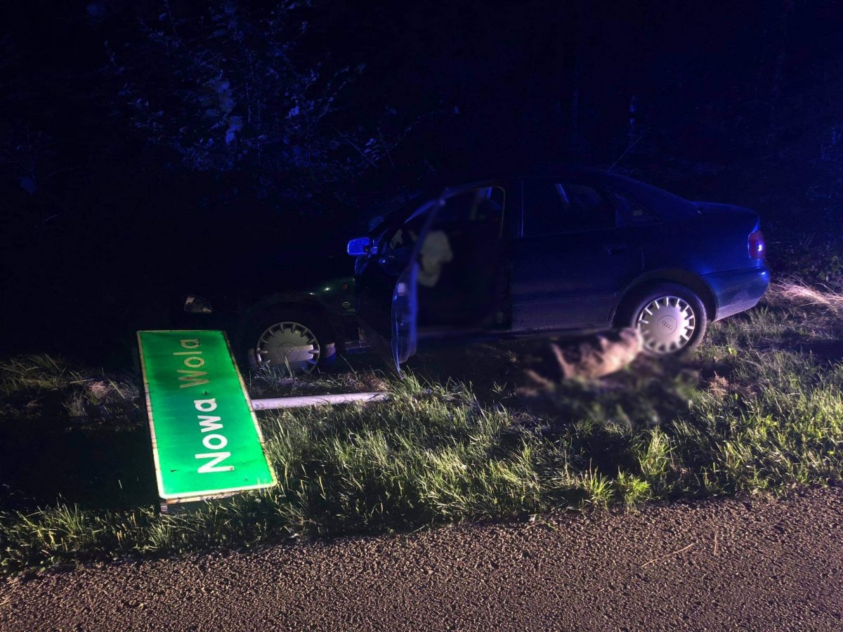 Kierowca z trzema promilami wjechał w znak drogowy. Zatrzymał go policjant po służbie - Zdjęcie główne