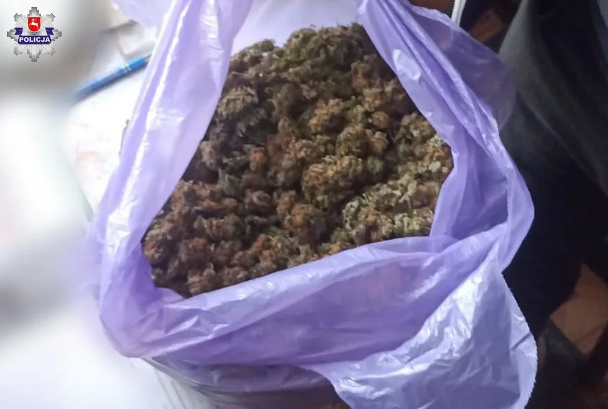  Odpowiedzą za posiadanie i dystrybucję narkotyków. Sprzedawali je m.in. nieletnim