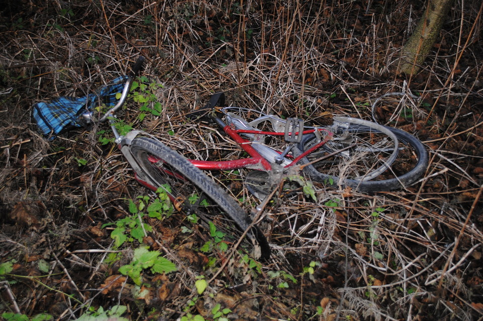 Rowerzysta zginął w Nowej Woli - Zdjęcie główne