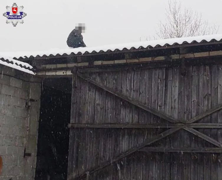 Powiat lubartowski: Przed policjantami próbował ukryć się na dachu stodoły - Zdjęcie główne