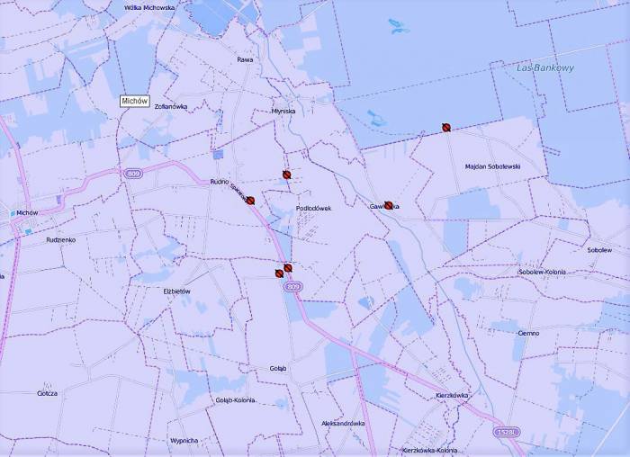 W gm. Michów szaleje ASF. Inspekcja weterynarii: To jeszcze nie koniec! - Zdjęcie główne