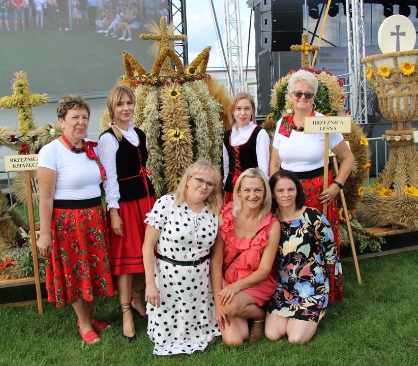 Wieniec z Brzeźnicy Leśnej pojedzie na dożynki powiatowe. Zdjęcia z dożynek w Niedźwiadzie - Zdjęcie główne