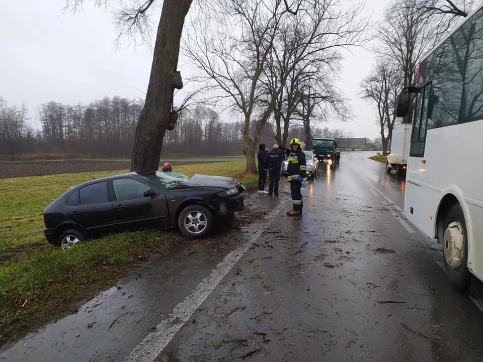 Samochód uderzył w drzewo w Siedliskach - Zdjęcie główne