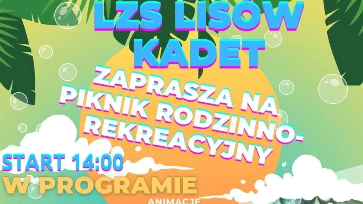 24.08.2024 - Piknik rodzinno-rekreacyjny w Lisowie - Zdjęcie główne