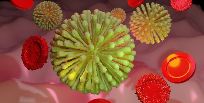 Lubelskie: 13 nowych przypadków koronawirusa - Zdjęcie główne