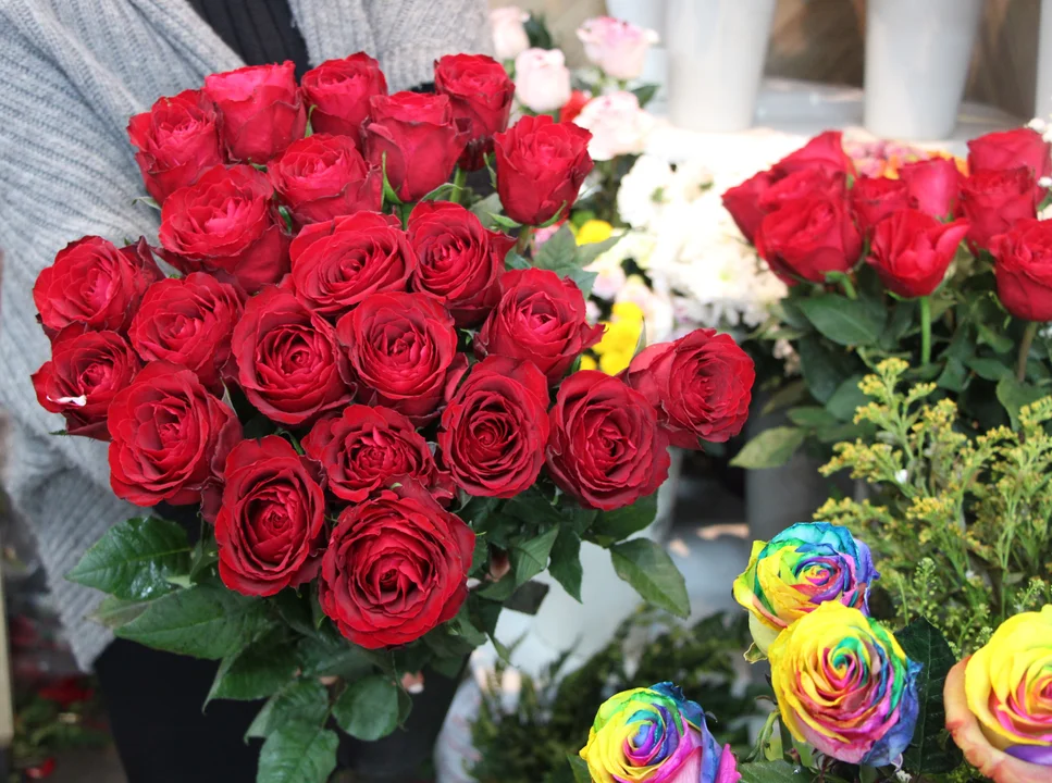 W Lubartowie na Walentynki najpopularniejsze czerwone róże - Zdjęcie główne