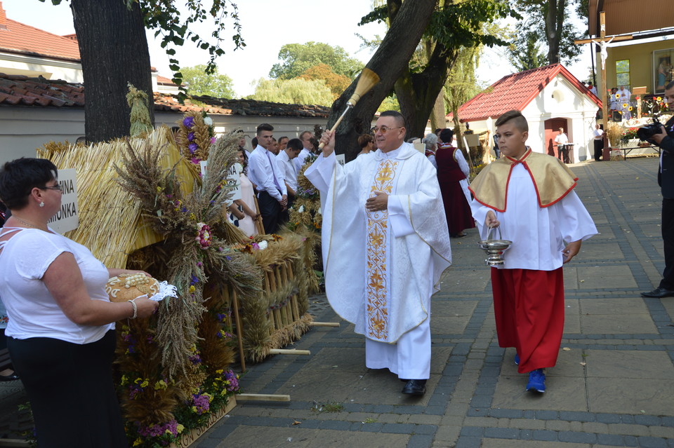 Zwycięskie wieńce na dożynkach powiatowych (zdjęcia) - Zdjęcie główne