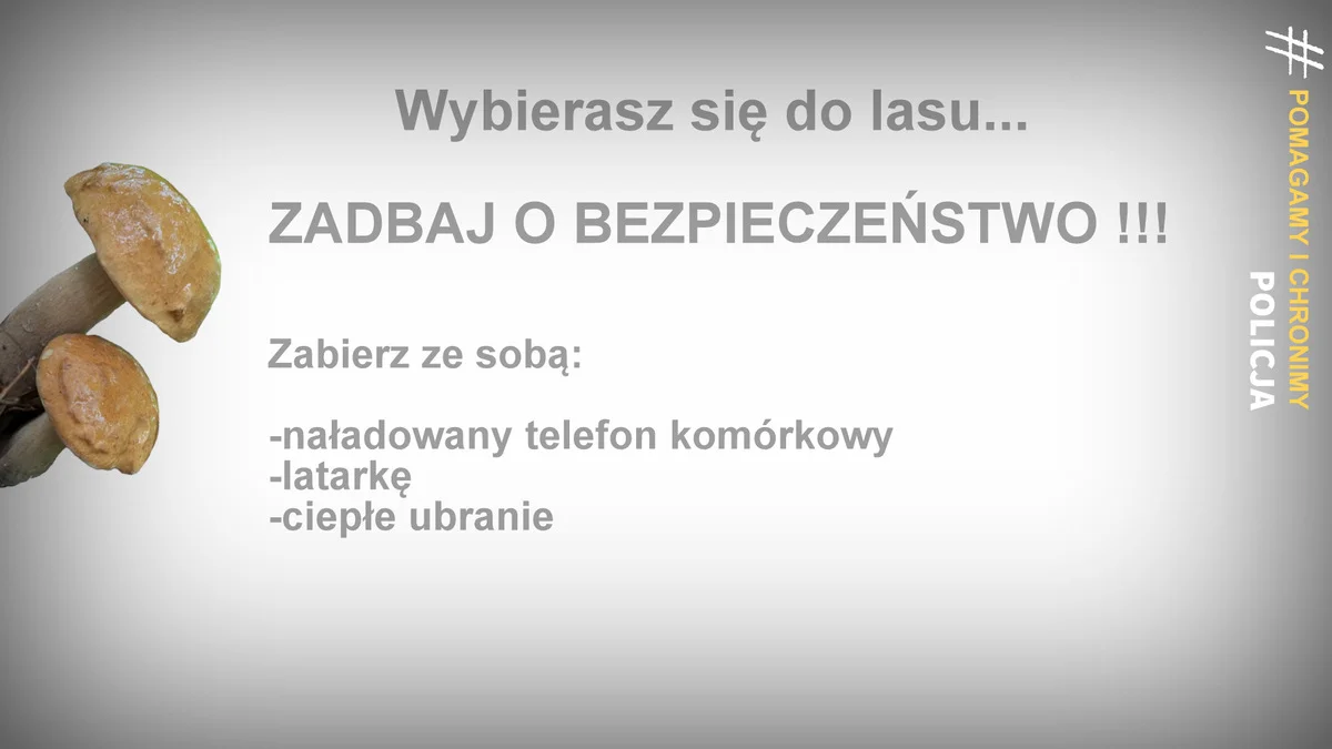 Powiat lubartowski: Wyszli na grzyby do lasów i zgubili się. Pomogli policjanci - Zdjęcie główne