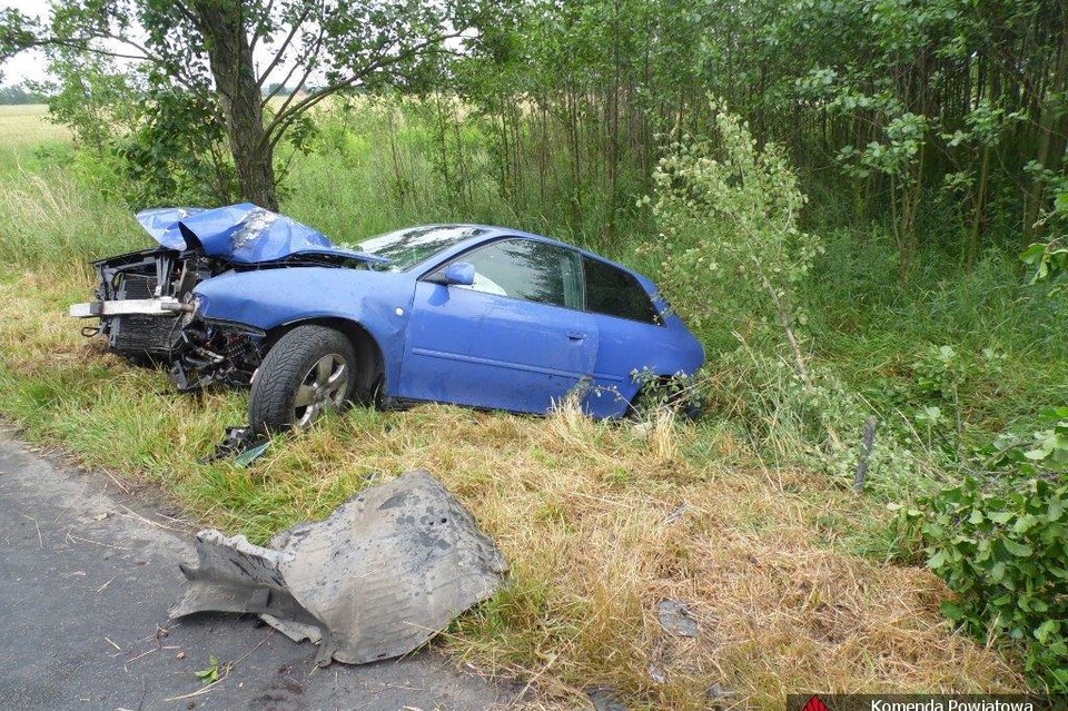 Audi uderzyło w drzewo - Zdjęcie główne