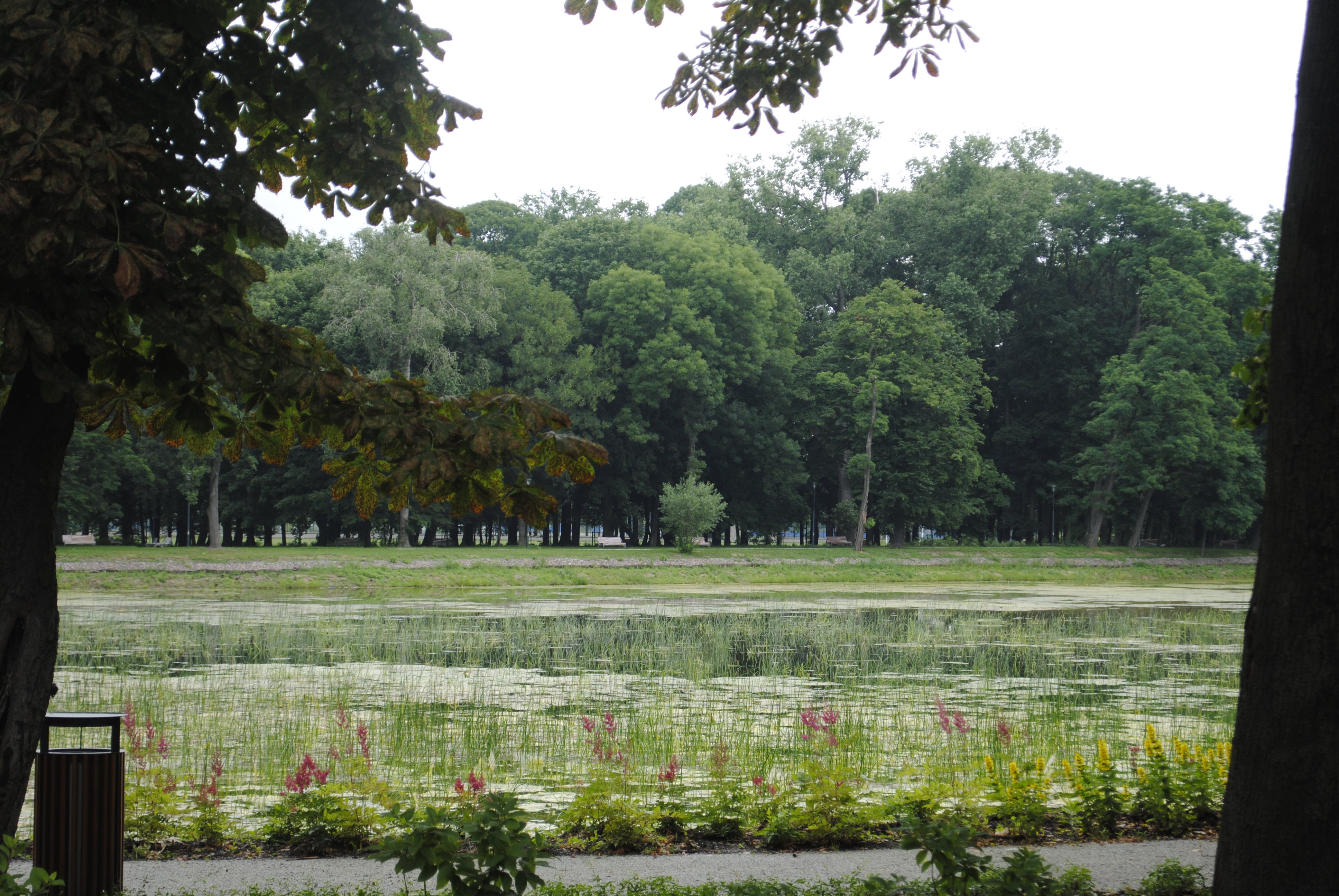 Park w Lubartowie wkrótce do otwarcia, chociaż miasto ma zastrzeżenia - Zdjęcie główne