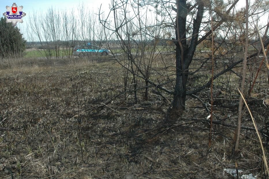 Policja ostrzega przed wypalaniem traw i nieużytków rolnych - Zdjęcie główne