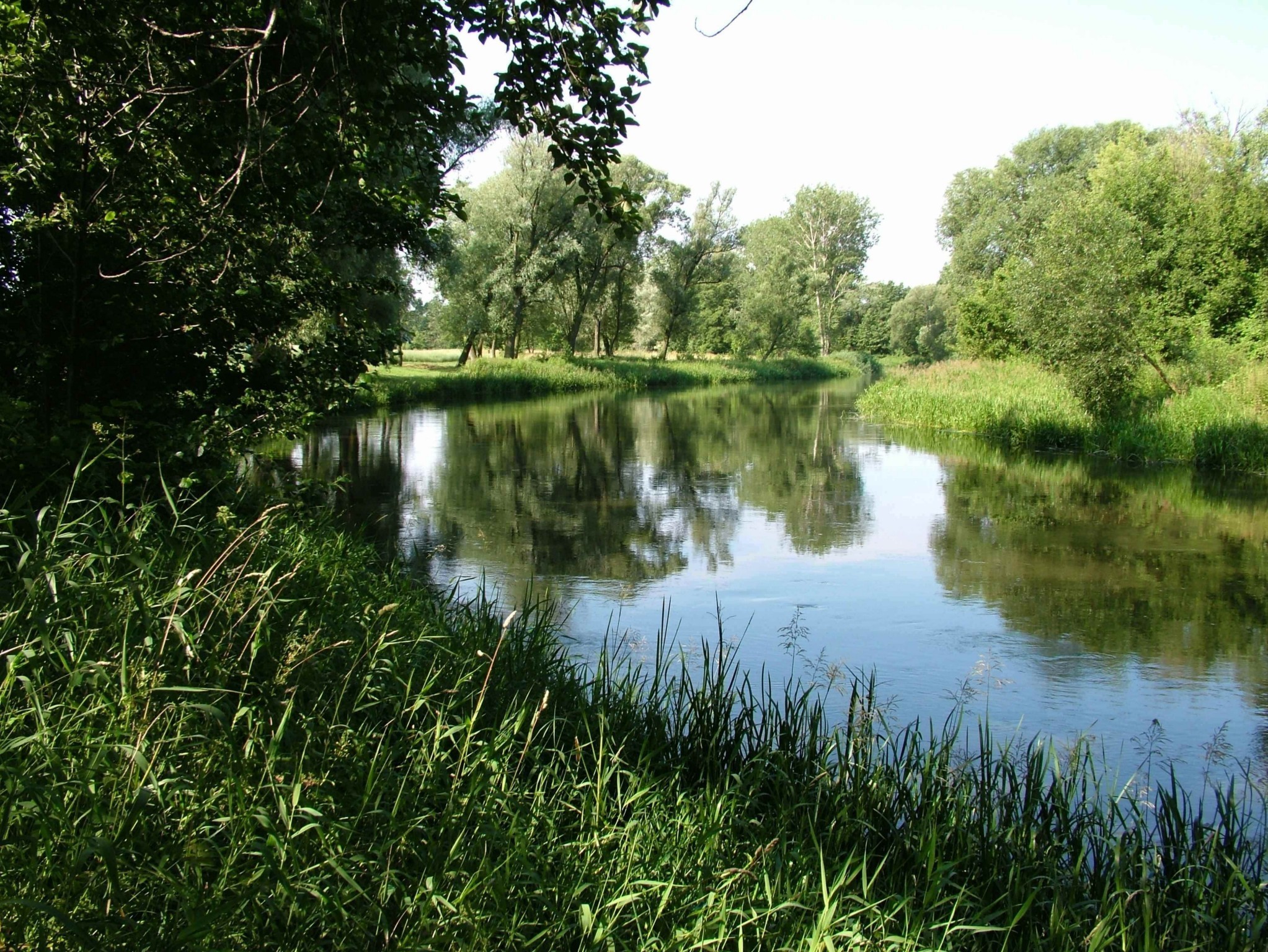 Stan wody rzeki Wieprz w Lubartowie - Zdjęcie główne