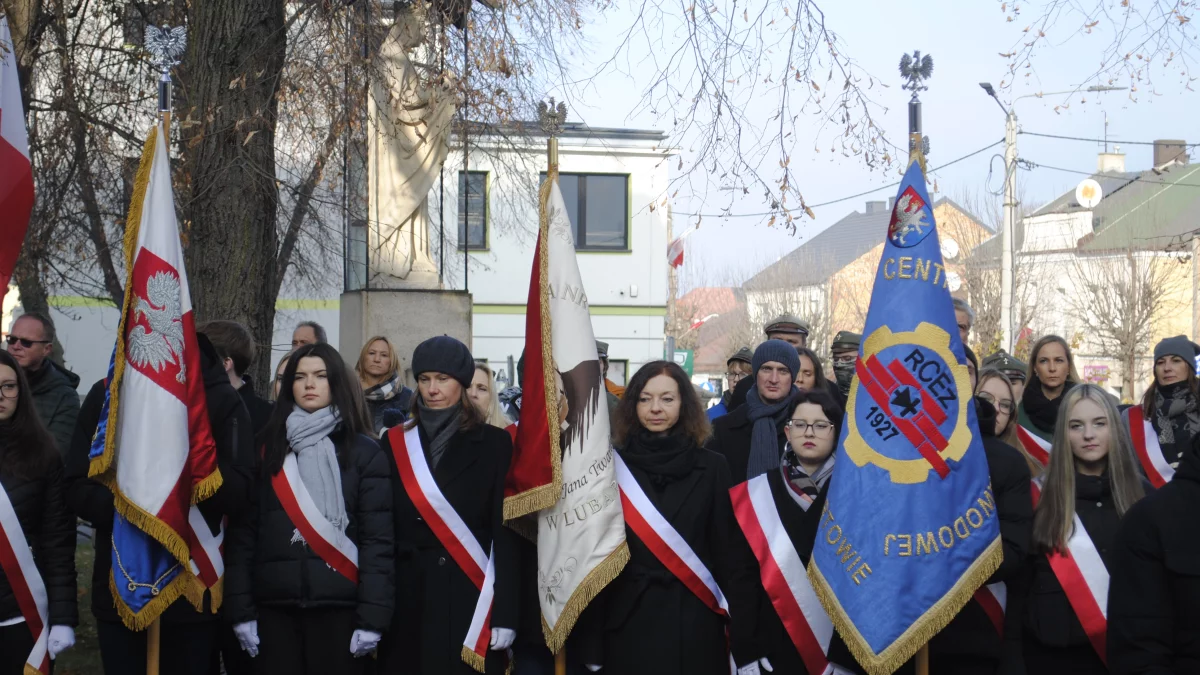 Apel pamięci w Lubartowie, bez wspomnienia o naszych bitwach - Zdjęcie główne