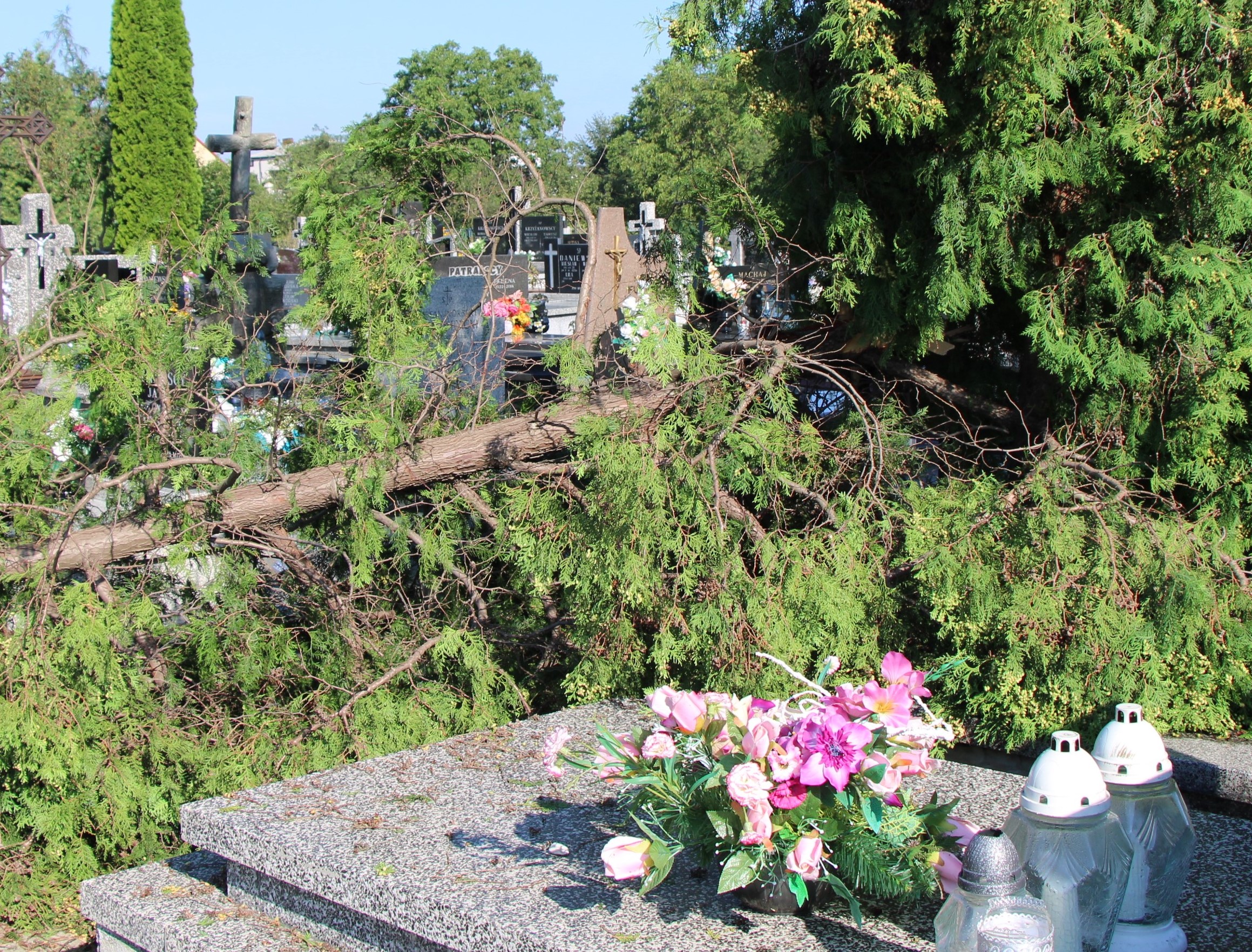 Burza zniszczyła cmentarz w Lubartowie - Zdjęcie główne