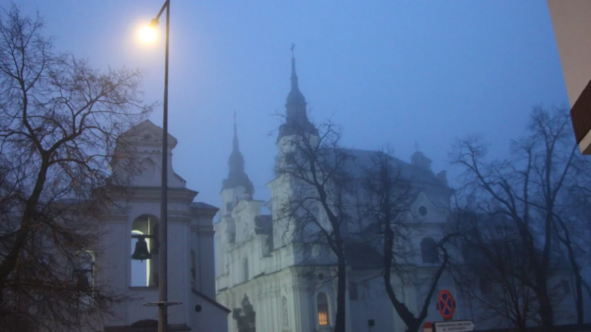 Ofiary za opłatek w parafii św. Anny w Lubartowie wkładem do Polskiego Ładu - Zdjęcie główne