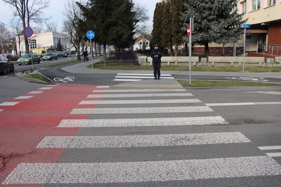 Jak poruszać się po ścieżkach rowerowych: poradnik dla rowerzystów, pieszych i kierowców - Zdjęcie główne