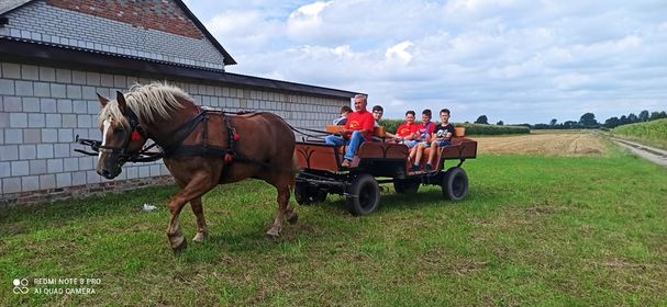 Festyn w Syrach. Na Syrmanii bawiła się cała wieś - Zdjęcie główne