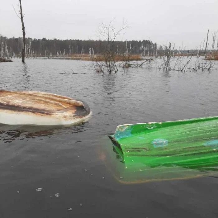 Wędkarz z Lubartowa omal nie utonął. Uratowali go strażacy z OSP Dratów - Zdjęcie główne