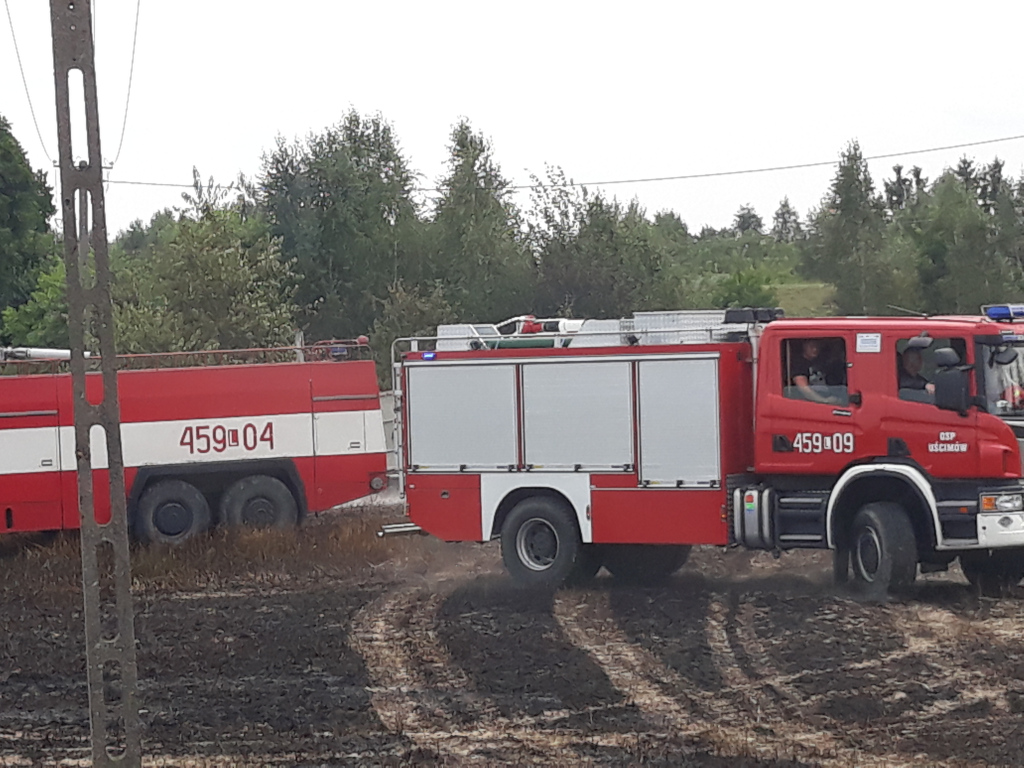 Pożar trawy i zboża w Uścimowie - Zdjęcie główne