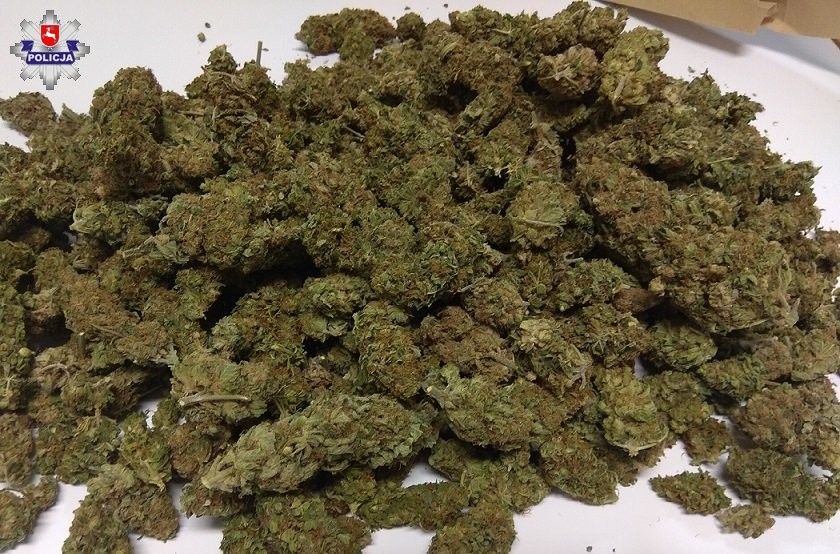 Marihuana w siatce na przystanku i pod kurtką - Zdjęcie główne