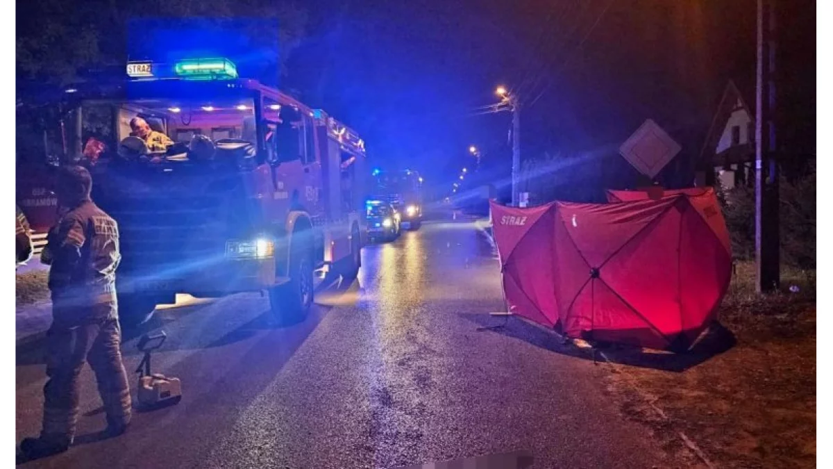 Powiat lubartowski: Zabił pieszego i uciekł. Sprawca wypadku poszukiwany przez policję - Zdjęcie główne